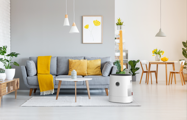 W220_Air_Washer_BONECO_Living_Room_4