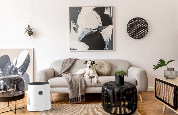 W220_Air_Washer_BONECO_Living Room_1